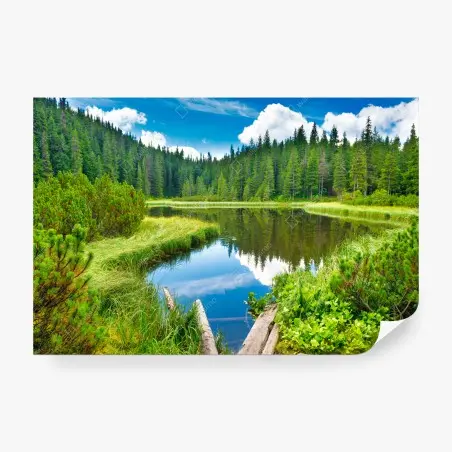 Papier peint reflets sereins sur le lac forestier – Wallnifity®