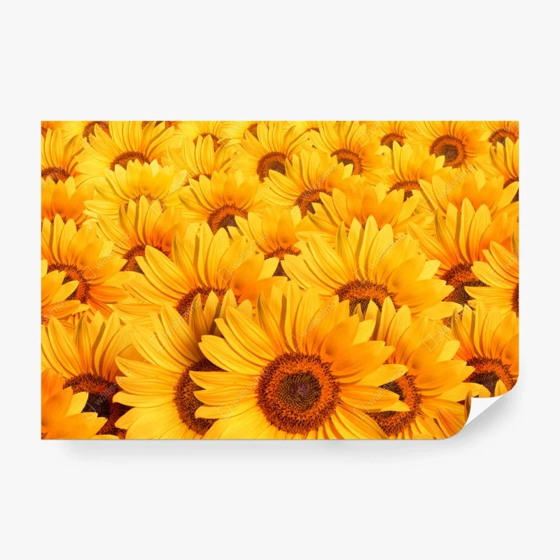 Papier peint mosaïque de tournesols dorés – Wallnifity® Papier peint mosaïque de tournesols dorés – Wallnifity®
