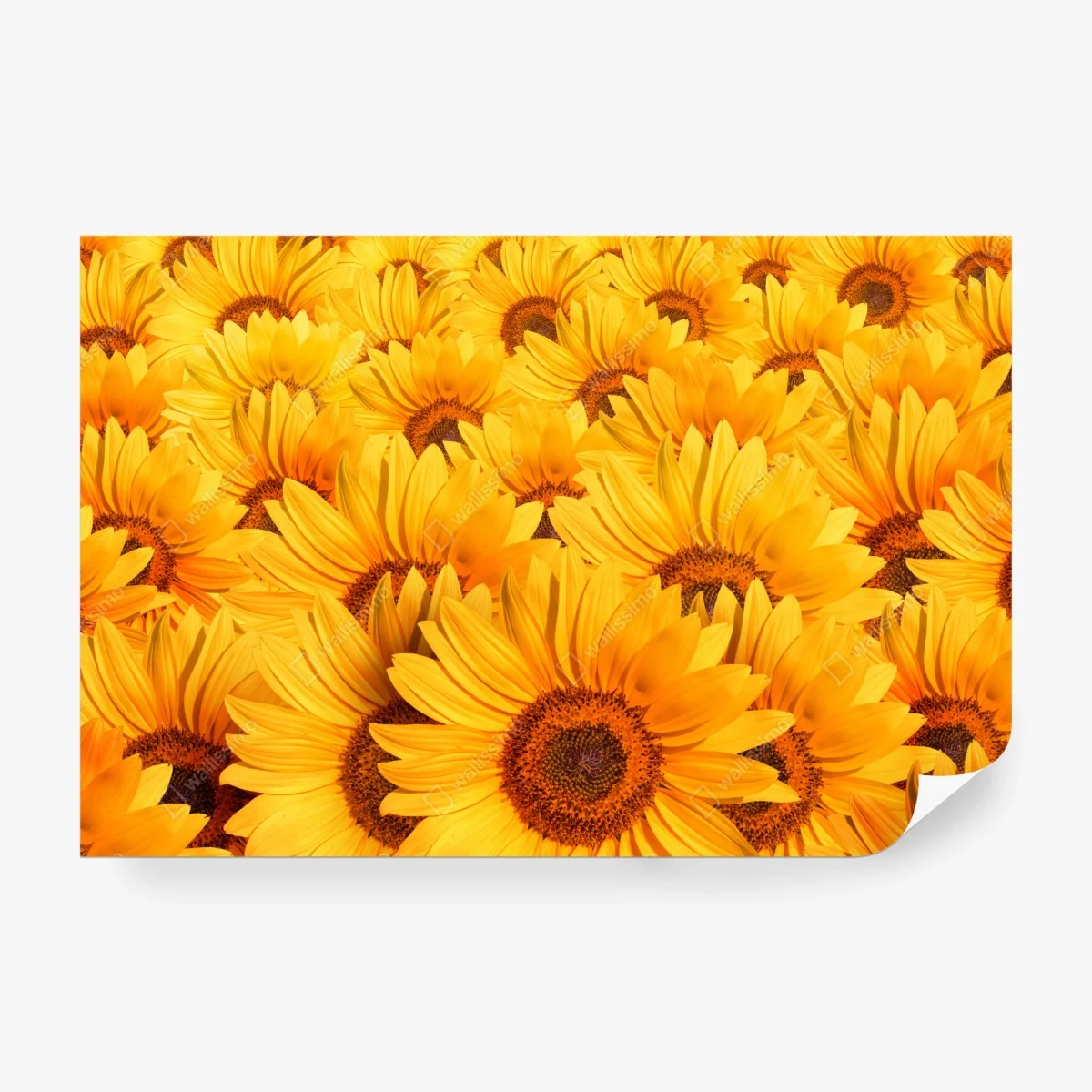 Papier peint mosaïque de tournesols dorés – Wallnifity® Papier peint mosaïque de tournesols dorés – Wallnifity®