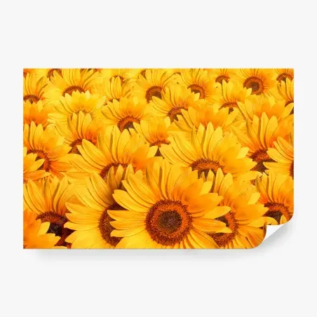 Papier peint mosaïque de tournesols dorés – Wallnifity®