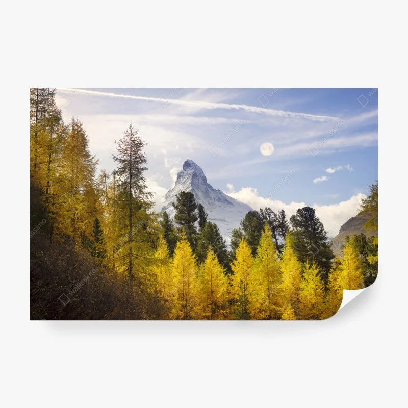 Papier peint Cervin en automne, forêt de mélèzes dorés – Wallnifity® Papier peint Cervin en automne, forêt de mélèzes dorés – Wallnifity®