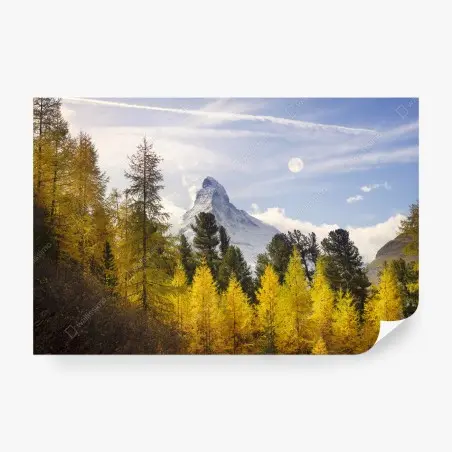 Papier peint Cervin en automne, forêt de mélèzes dorés – Wallnifity®