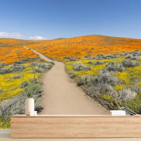 Papier peint chemin coloré à travers champs de coquelicots et fleurs sauvages – Wallnifity®