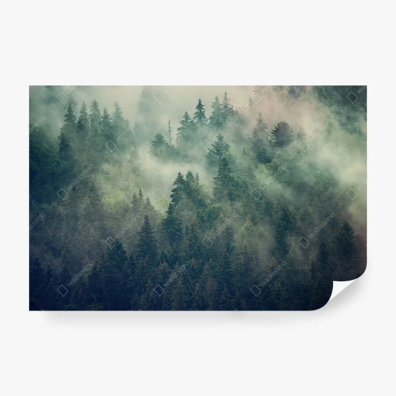 Papier peint forêt embrumée aux sapins majestueux – Wallnifity® Papier peint forêt embrumée aux sapins majestueux – Wallnifity®
