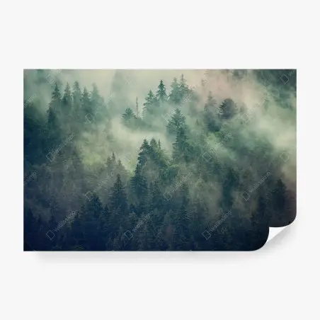 Papier peint forêt embrumée aux sapins majestueux – Wallnifity®