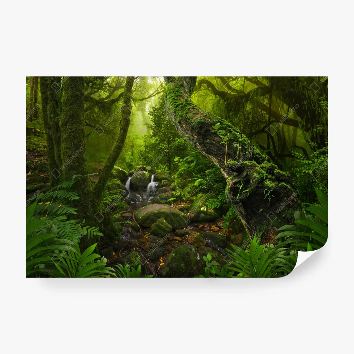 Papier peint refuge verdoyant au cœur de la forêt – Wallnifity® Papier peint refuge verdoyant au cœur de la forêt – Wallnifity®