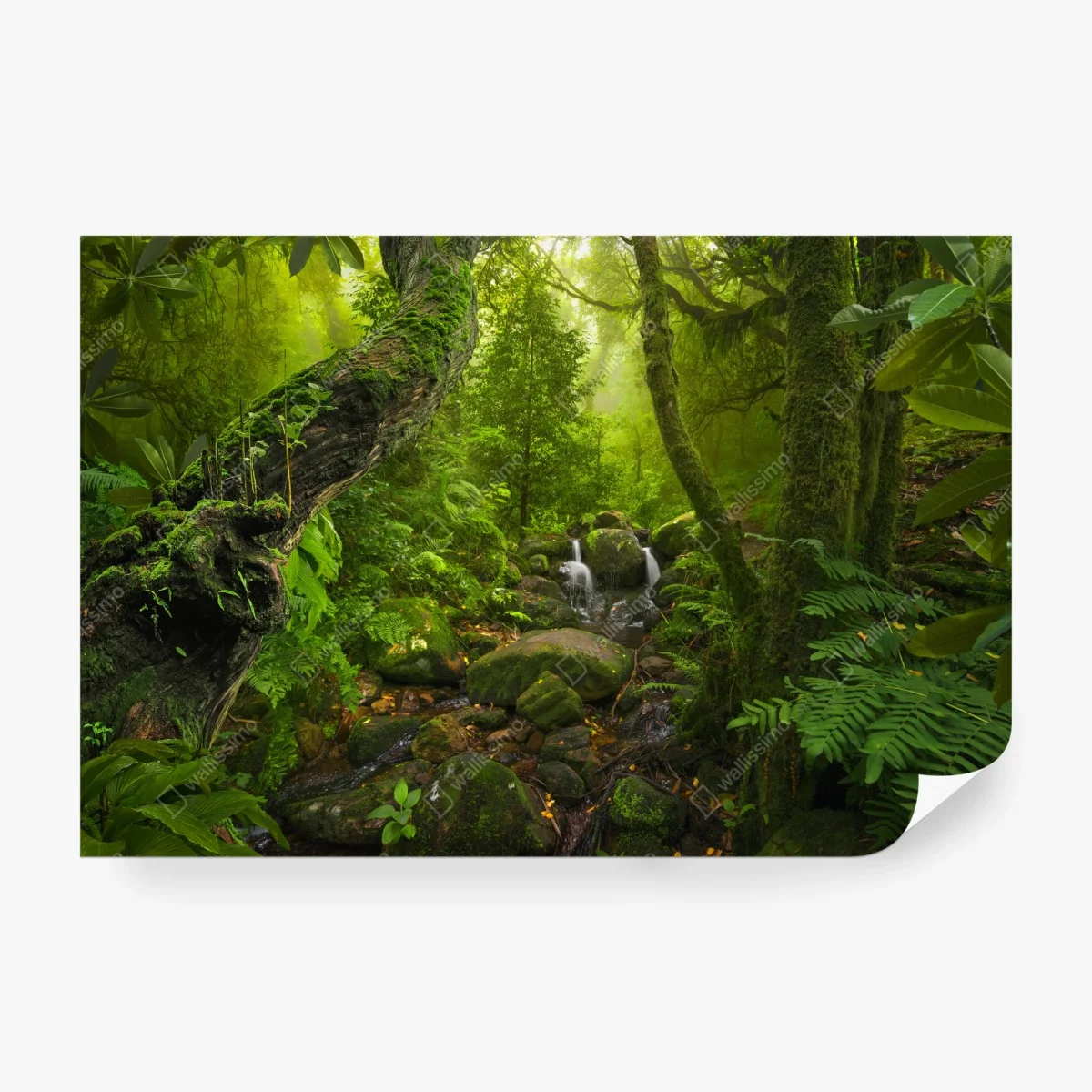 Papier peint forêt brumeuse et ruisseau enchanteur – Wallnifity® Papier peint forêt brumeuse et ruisseau enchanteur – Wallnifity®