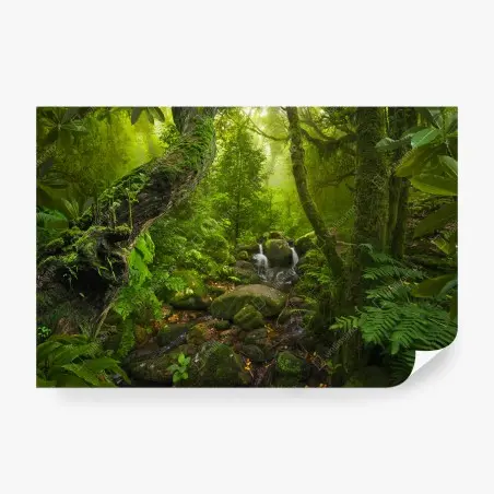 Papier peint forêt brumeuse et ruisseau enchanteur – Wallnifity®