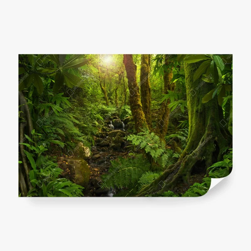Papier peint forêt luxuriante baignée de lumière – Wallnifity® Papier peint forêt luxuriante baignée de lumière – Wallnifity®