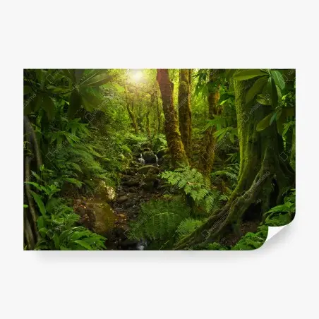 Papier peint forêt luxuriante baignée de lumière – Wallnifity®