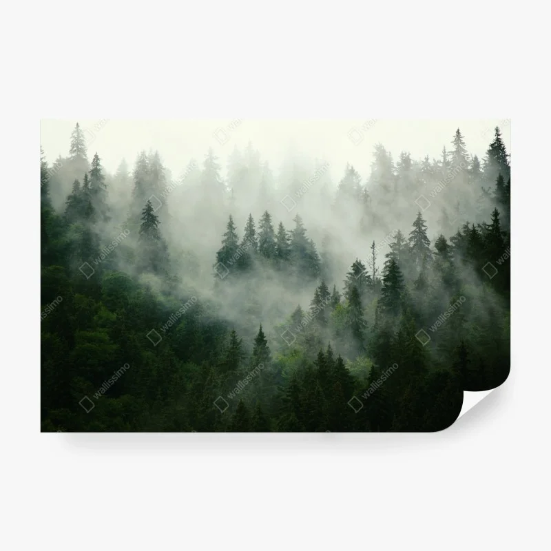 Papier peint silence de la forêt brumeuse – Wallnifity® Papier peint silence de la forêt brumeuse – Wallnifity®
