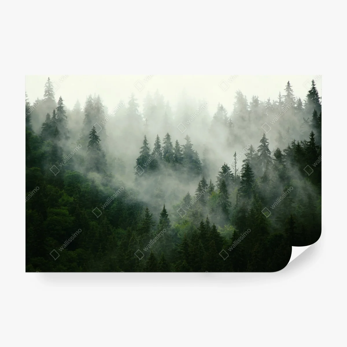 Papier peint silence de la forêt brumeuse – Wallnifity® Papier peint silence de la forêt brumeuse – Wallnifity®