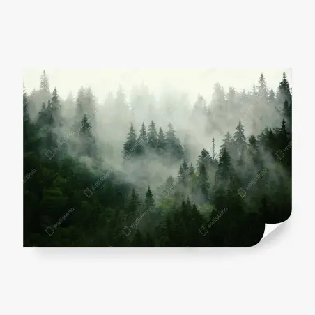 Papier peint silence de la forêt brumeuse – Wallnifity®
