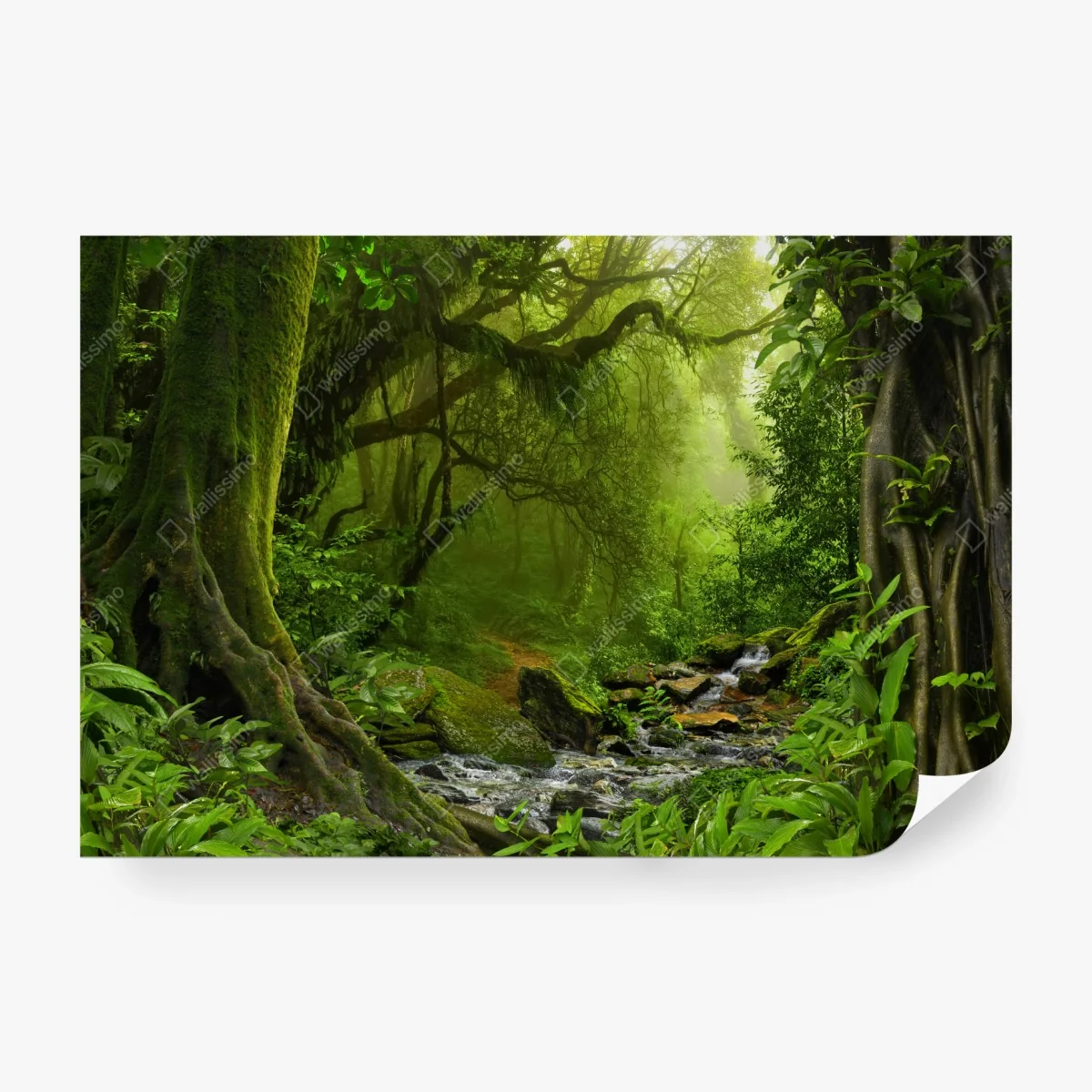 Papier peint refuge verdoyant en forêt tropicale – Wallnifity®