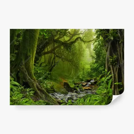 Papier peint refuge verdoyant en forêt tropicale – Wallnifity®