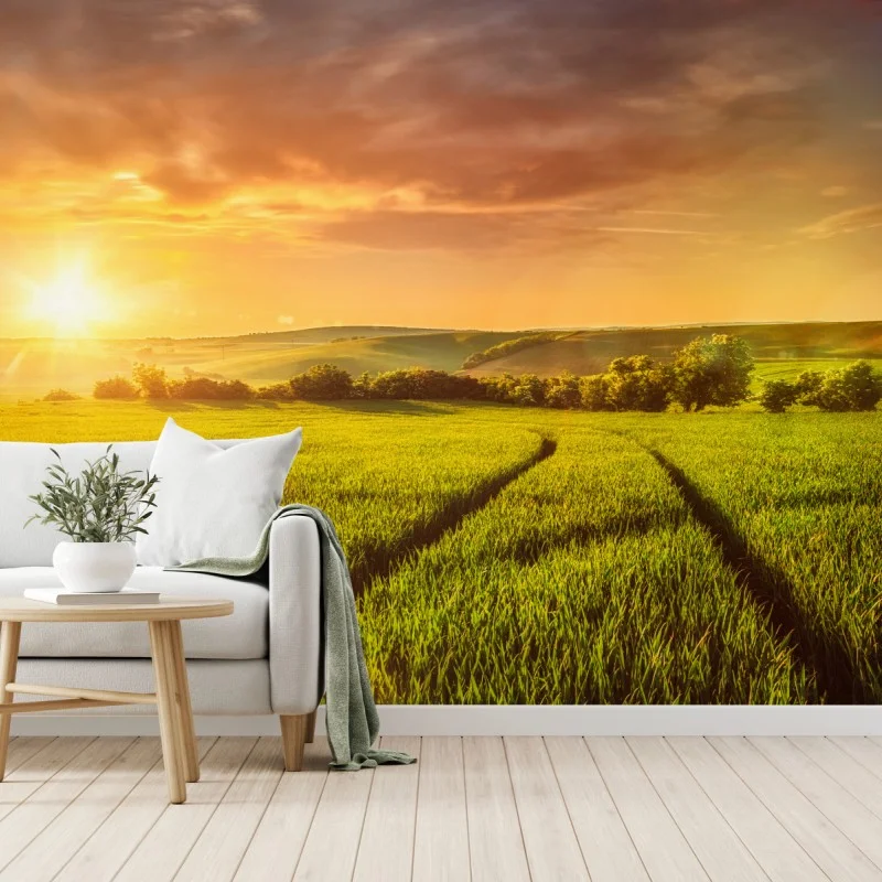 Papier peint champ doré au soleil couchant – Wallnifity®