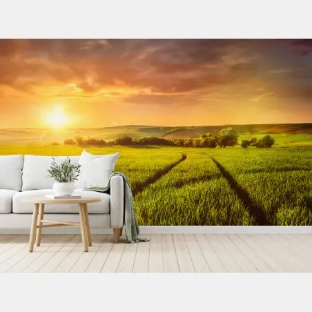 Papier peint champ doré au soleil couchant – Wallnifity®