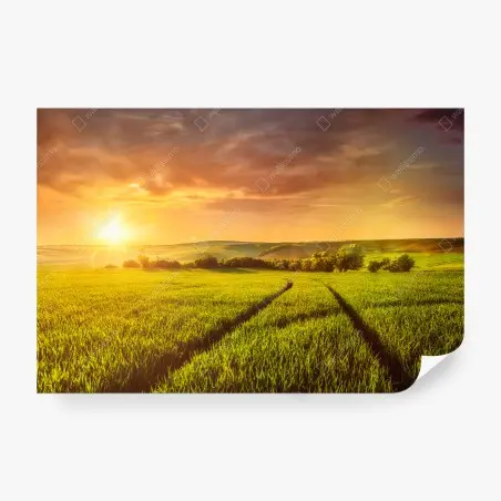 Papier peint champ doré au soleil couchant – Wallnifity®