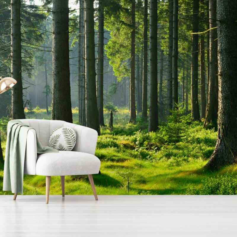 Forêts – Wallnifity®