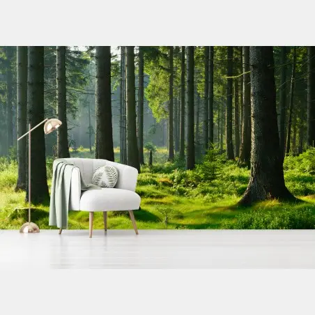 Papier peint forêt enchantée au petit matin – Wallnifity®