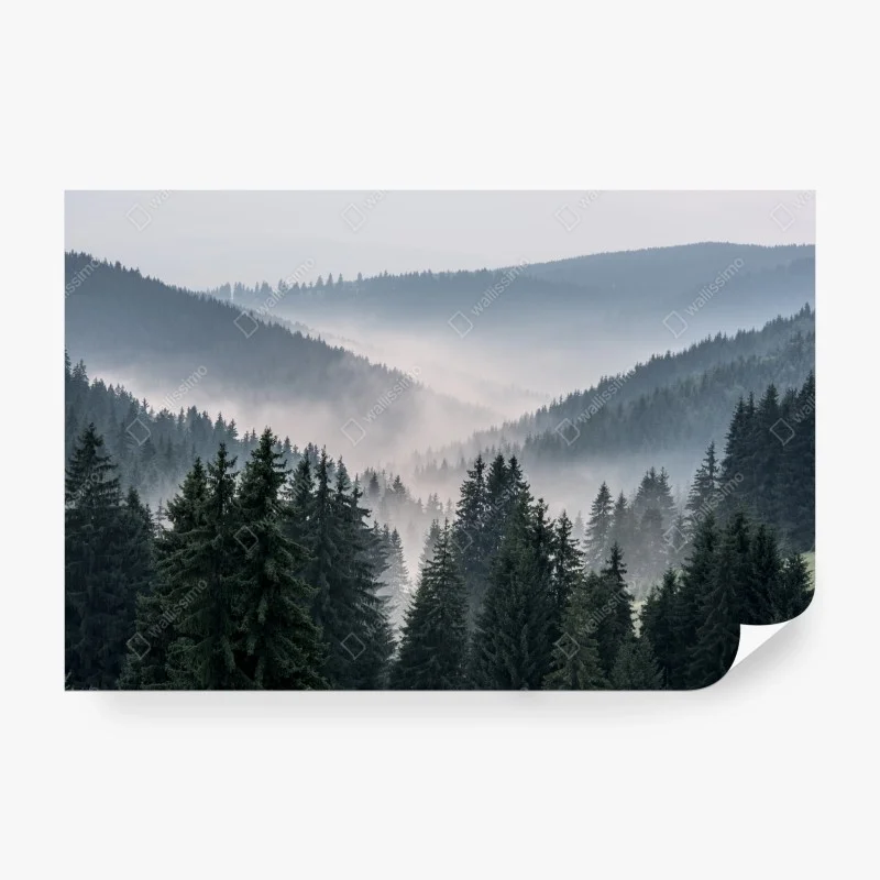 Papier peint brume matinale sur la forêt de conifères – Wallnifity® Papier peint brume matinale sur la forêt de conifères – Wallnifity®