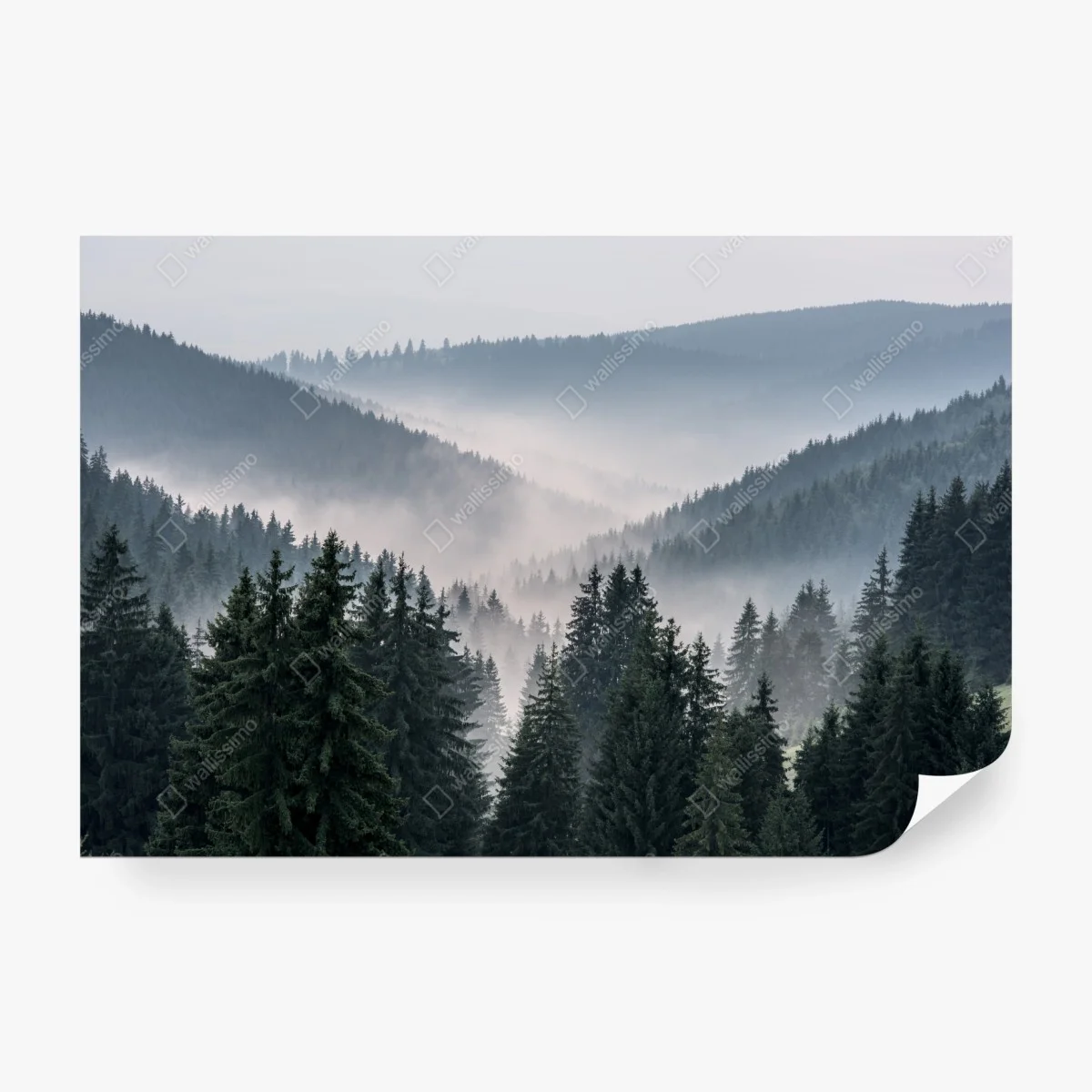 Papier peint brume matinale sur la forêt de conifères – Wallnifity® Papier peint brume matinale sur la forêt de conifères – Wallnifity®