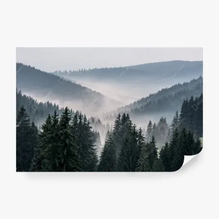 Papier peint brume matinale sur la forêt de conifères – Wallnifity®
