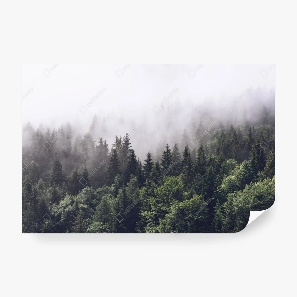 Papier peint brume sur la forêt montagneuse – Wallnifity® Papier peint brume sur la forêt montagneuse – Wallnifity®