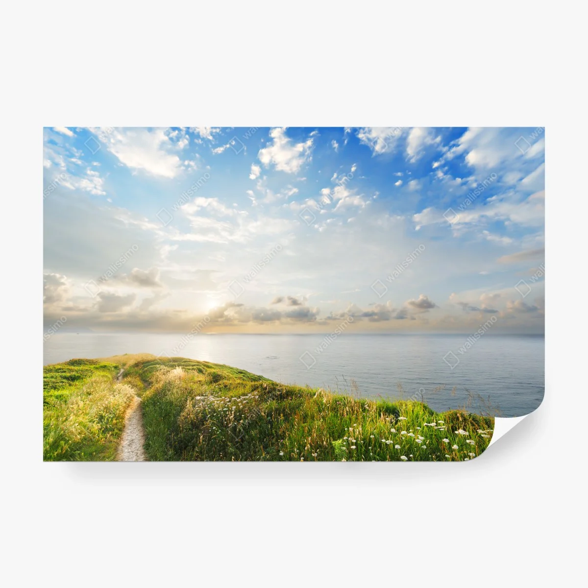 Papier peint sentier côtier au bord de la mer – Wallnifity® Papier peint sentier côtier au bord de la mer – Wallnifity®