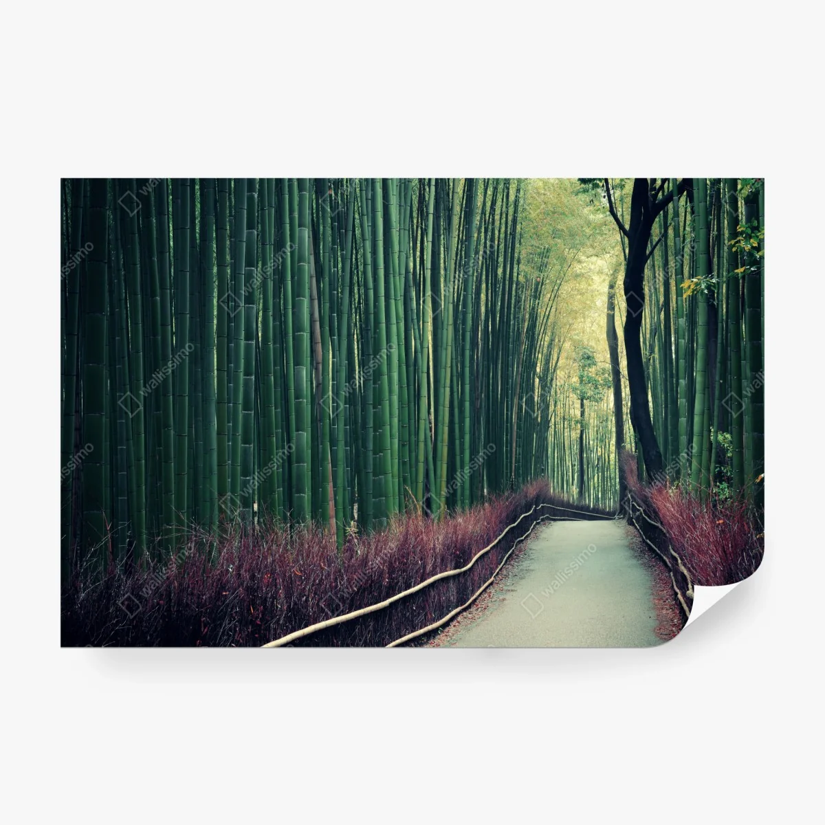 Papier peint allée de bambous d'Arashiyama, Kyoto – Wallnifity® Papier peint allée de bambous d'Arashiyama, Kyoto – Wallnifity®