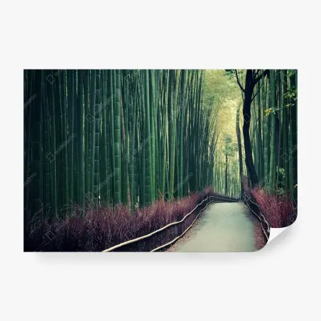 Papier peint allée de bambous d'Arashiyama, Kyoto – Wallnifity®