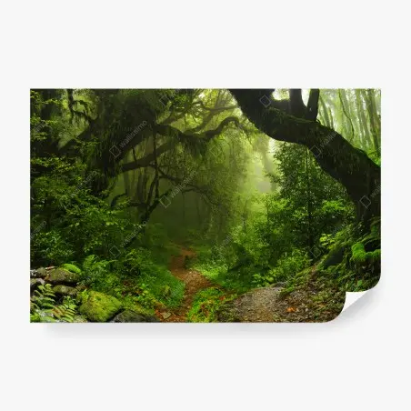 Papier peint sentier enchanté dans la forêt brumeuse – Wallnifity®