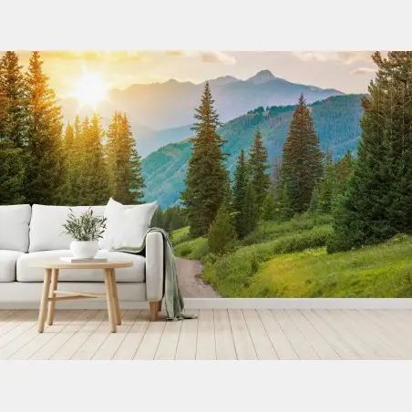 Papier peint route de montagne ensoleillée, Colorado – Wallnifity®