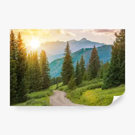 Papier peint route de montagne ensoleillée, Colorado – Wallnifity®