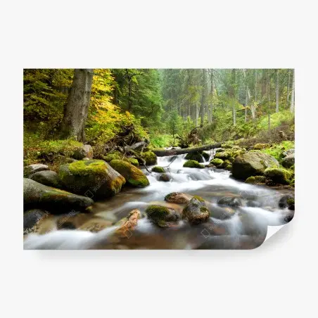Papier peint ruisseau forestier paisible aux rochers moussus – Wallnifity®