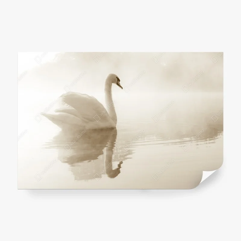 Papier peint cygne en brume : élégance sur l'eau – Wallnifity® Papier peint cygne en brume : élégance sur l'eau – Wallnifity®