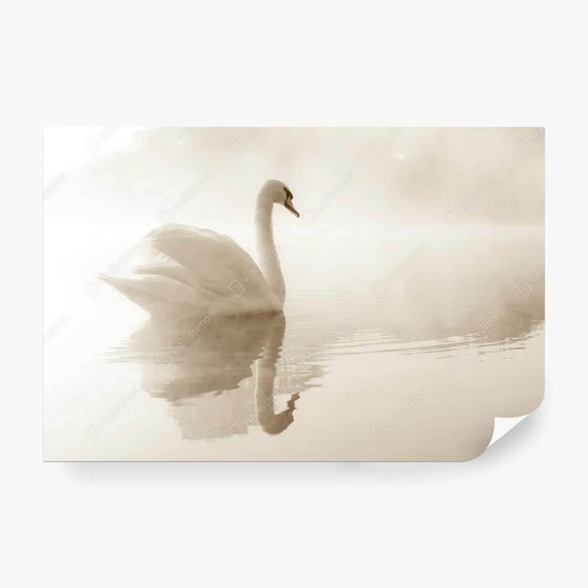 Papier peint cygne en brume : élégance sur l'eau – Wallnifity® Papier peint cygne en brume : élégance sur l'eau – Wallnifity®