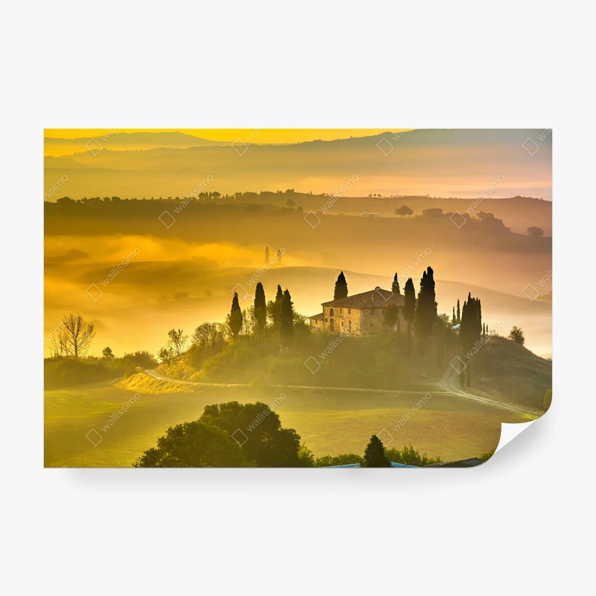 Papier peint aube dorée sur la colline brumeuse – Wallnifity® Papier peint aube dorée sur la colline brumeuse – Wallnifity®