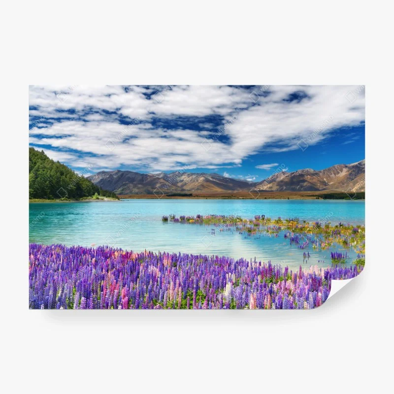 Papier peint paysage fleuri au bord de Lake Tekapo – Wallnifity®