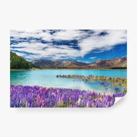 Papier peint paysage fleuri au bord de Lake Tekapo – Wallnifity®