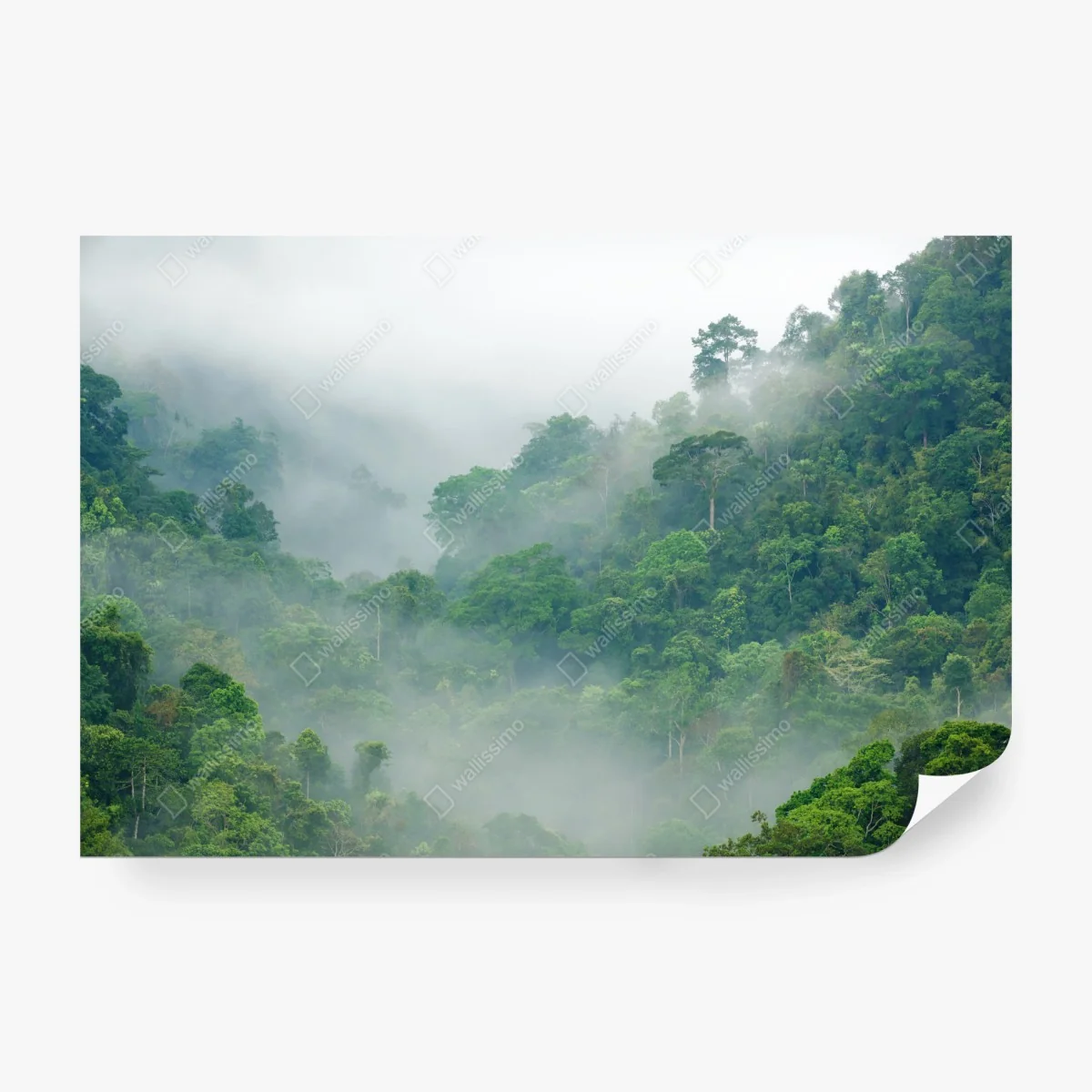 Papier peint brume matinale sur la forêt de Kaeng Krachan, Thaïlande – Wallnifity® Papier peint brume matinale sur la forêt de Kaeng Krachan, Thaïlande – Wallnifity®