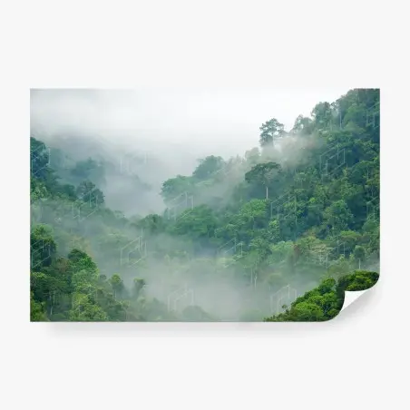 Papier peint brume matinale sur la forêt de Kaeng Krachan, Thaïlande – Wallnifity®
