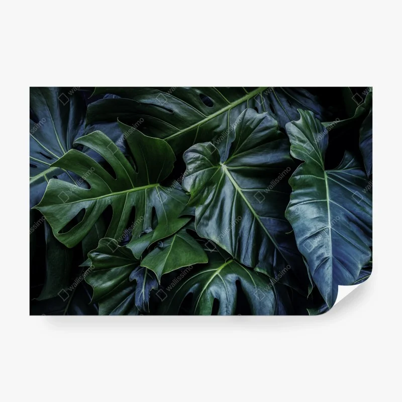 Papier peint feuillage tropical vert profond – Wallnifity®