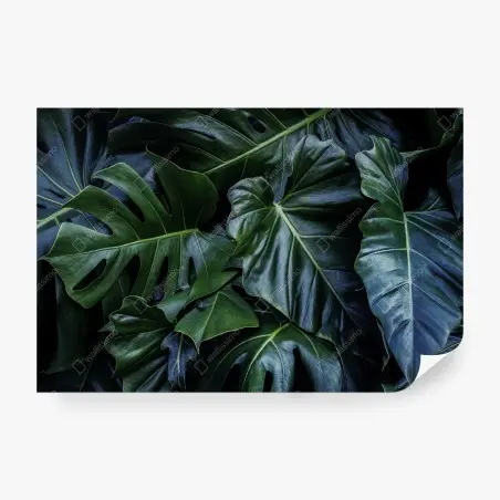 Papier peint feuillage tropical vert profond – Wallnifity®