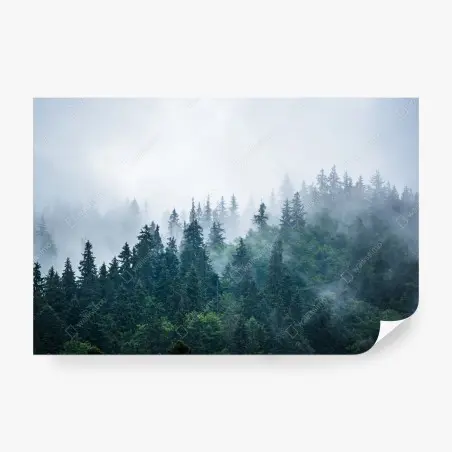 Papier peint brume sur la forêt de sapins – Wallnifity®