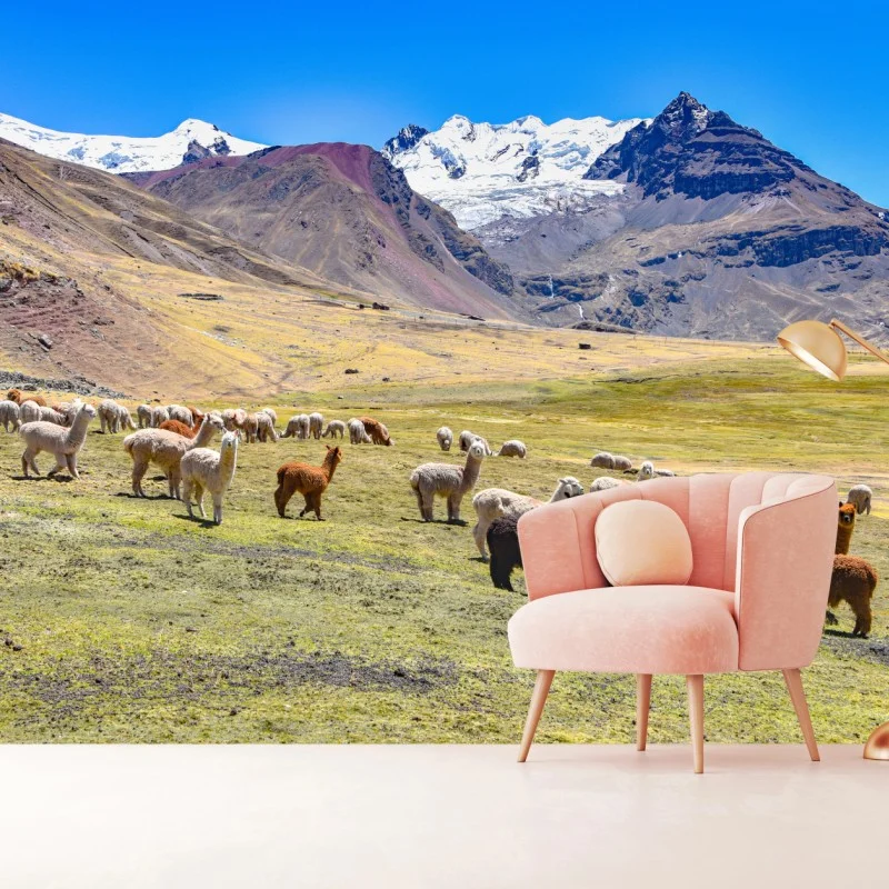 Animaux domestiques – Wallnifity®