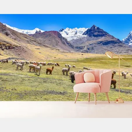 Papier peint alpagas et lamas au pied du mont Ausangate, Cusco – Wallnifity®