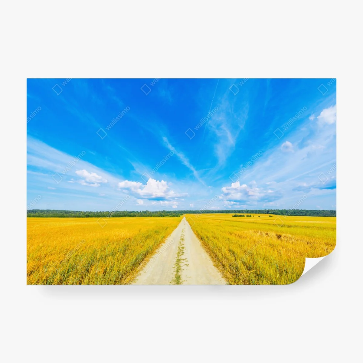 Papier peint route de campagne vers l'horizon doré – Wallnifity® Papier peint route de campagne vers l'horizon doré – Wallnifity®