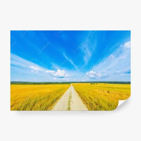 Papier peint route de campagne vers l'horizon doré – Wallnifity®