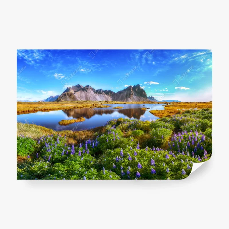 Papier peint lupins au pied de Vestrahorn – Wallnifity® Papier peint lupins au pied de Vestrahorn – Wallnifity®